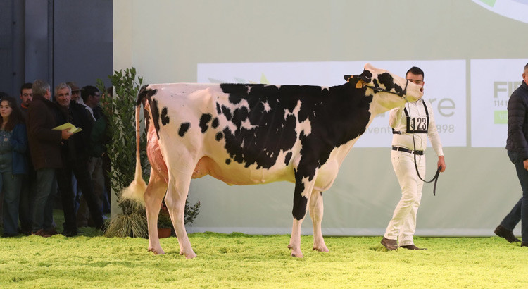 Zootecnia Pugliese protagonista a Fieragricola Verona