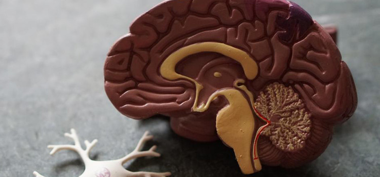 Coronavirus: gestione della paura e realizzazione di una nuova routine per affrontare la quarantena