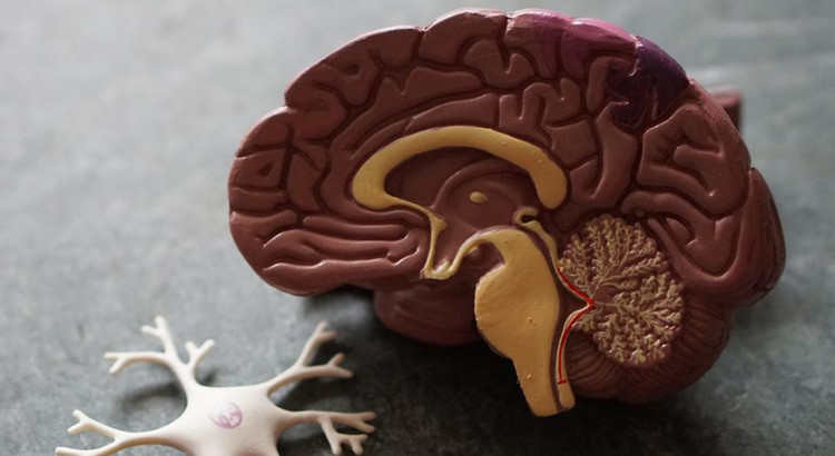 Coronavirus: gestione della paura e realizzazione di una nuova routine per affrontare la quarantena