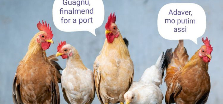 È andato tutto bene