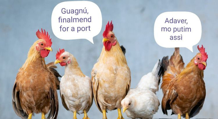 È andato tutto bene