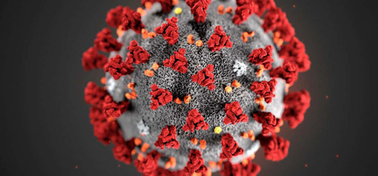 Covid: classi in quarantena