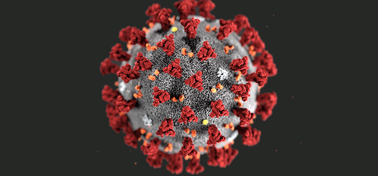 Emergenza Covid-19: contagi in ulteriore calo Emergenza Covid-19: contagi in ulteriore calo