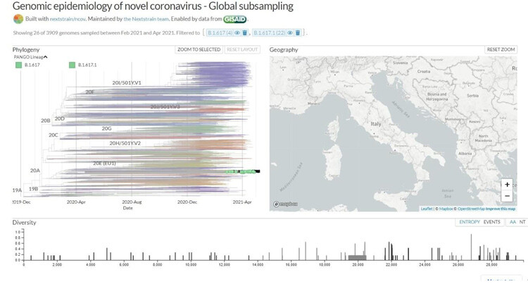 Identificata variante indiana del coronavirus in Puglia Identificata variante indiana del coronavirus in Puglia