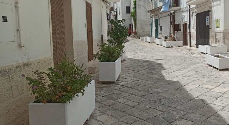 EDÈNOCI: un giardino sociale diffuso nel cuore del centro storico EDÈNOCI: un giardino sociale diffuso nel cuore del centro storico