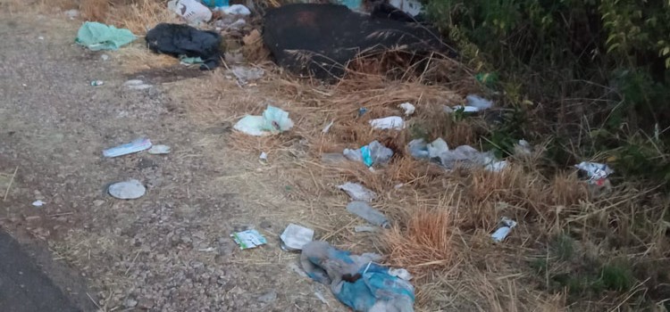 Noci: rifiuto selvaggio