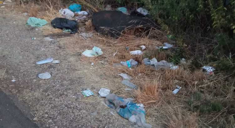 Noci: rifiuto selvaggio