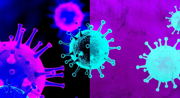 Record di contagi Covid a Noci Record di contagi Covid a Noci