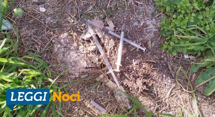 Emergenza droga: coinvolti ragazzi nocesi Emergenza droga: coinvolti ragazzi nocesi