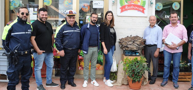 Fungo da record trovato da un nocese