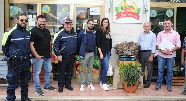 Fungo da record trovato da un nocese