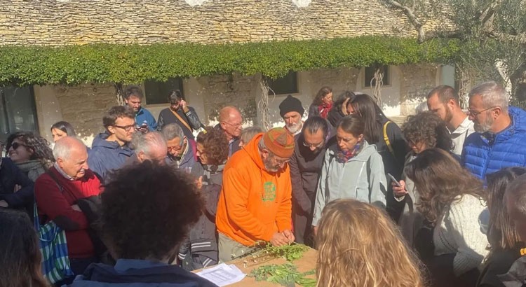 Domani ultimo appuntamento per la Parata del Frutto Pendente