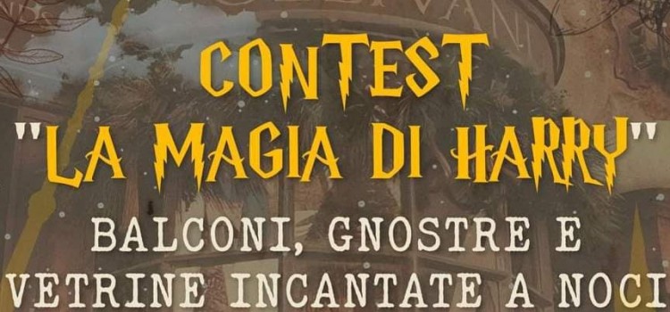 Contest: “La magia di Harry – balconi, gnostre e vetrine incantate”