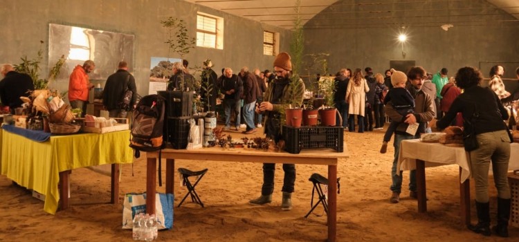 Prosegue a Noci la Parata del Frutto Pendente: questa domenica il Cinema Rurale Prosegue a Noci la Parata del Frutto Pendente: questa domenica il Cinema Rurale