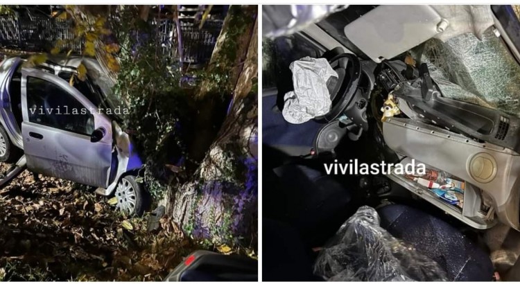 Incidente a Noci: auto si schianta contro un albero Incidente a Noci: auto si schianta contro un albero