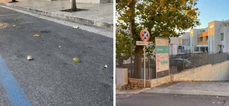 Sospensione del pagamento delle strisce blu in via Sold. Rocco Tinelli Sospensione del pagamento delle strisce blu in via Sold. Rocco Tinelli