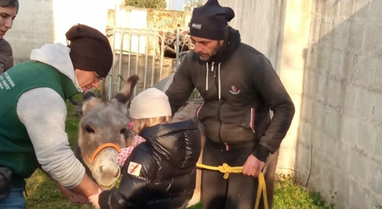 Gli amici che non ti aspetti, a quattro zampe con gli I.A.A. Gli amici che non ti aspetti, a quattro zampe con gli I.A.A.