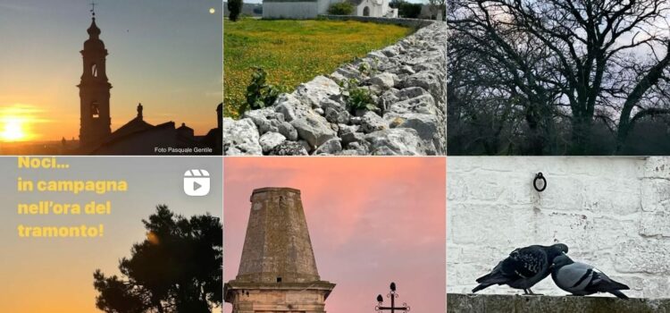 Noci, una gemma nascosta da scoprire Noci, una gemma nascosta da scoprire