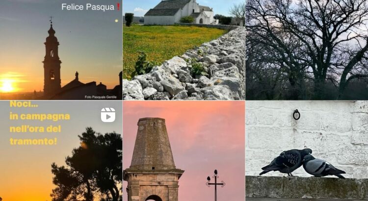 Noci, una gemma nascosta da scoprire Noci, una gemma nascosta da scoprire