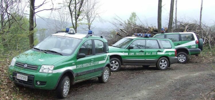 Rifiuti tombati in cava