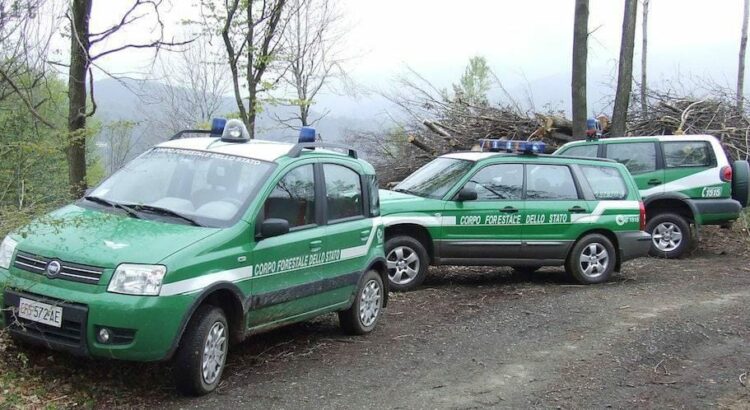 Rifiuti tombati in cava