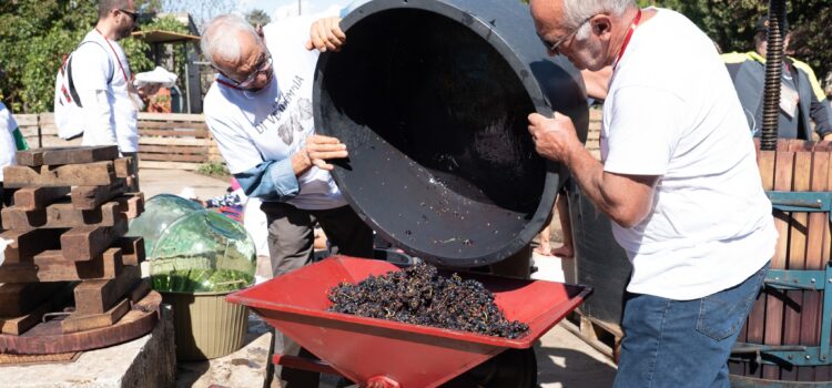 È tempo di vendemmia! Un’esperienza unica per i piccoli delle scuole primarie