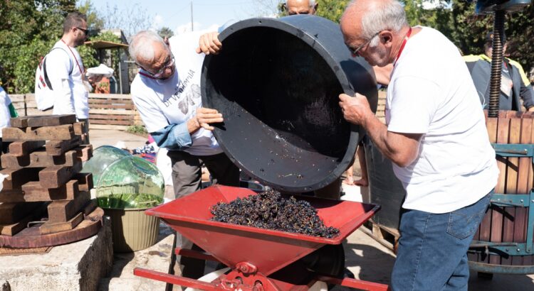È tempo di vendemmia! Un’esperienza unica per i piccoli delle scuole primarie È tempo di vendemmia! Un’esperienza unica per i piccoli delle scuole primarie
