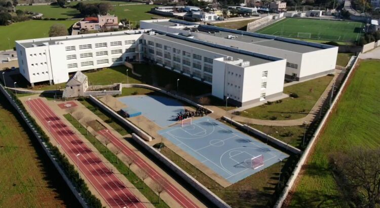 Liceo Majorana-Laterza di Putignano: un faro educativo. Il successo anche del Liceo Scientifico Liceo Majorana-Laterza di Putignano: un faro educativo. Il successo anche del Liceo Scientifico