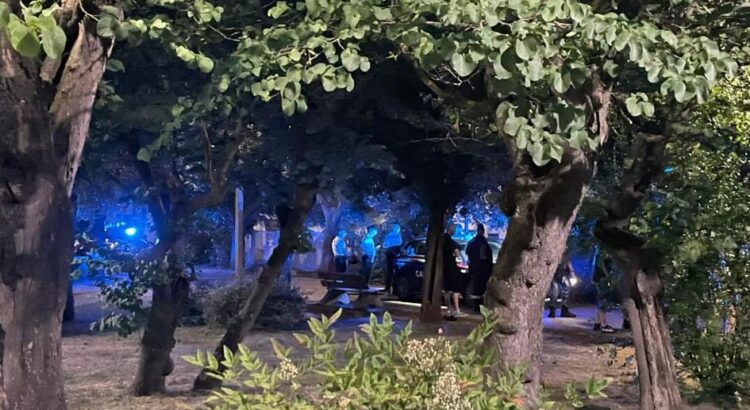 Controlli a tappeto durante la festa del 31 maggio: blitz antidroga nella Villa Comunale Controlli a tappeto durante la festa del 31 maggio: blitz antidroga nella Villa Comunale