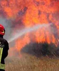 Noci, scatta lo stato di grave pericolosità per gli incendi: divieti e obblighi fino al 15 settembre